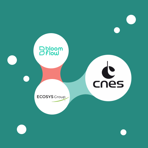 CNES team