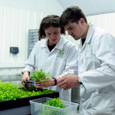 Bayer Crop Science: An Innovation Ecosystem Within Reach